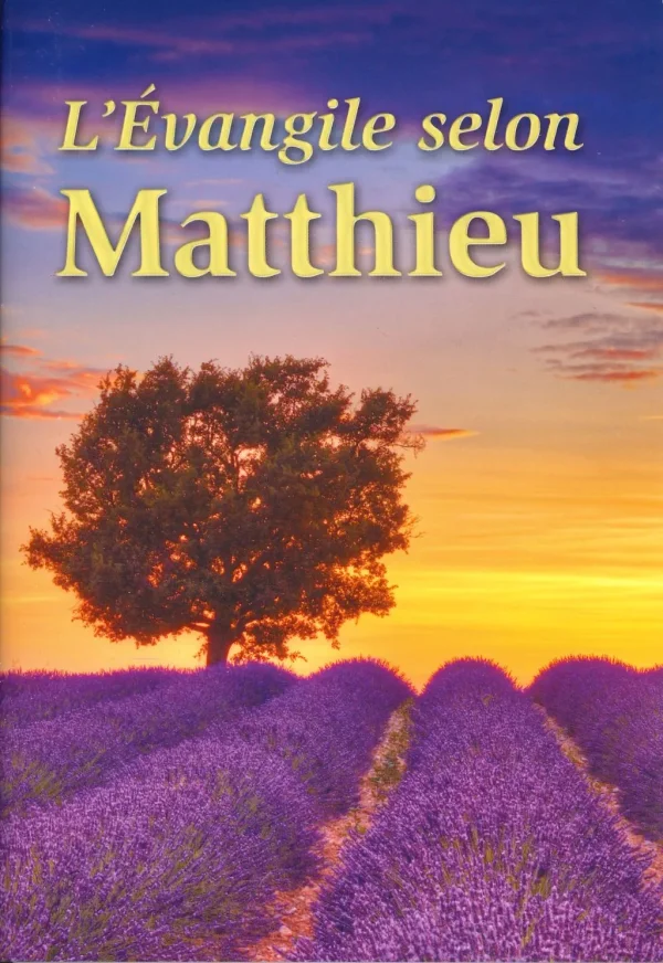 L'Évangile selon Matthieu (Französisch)