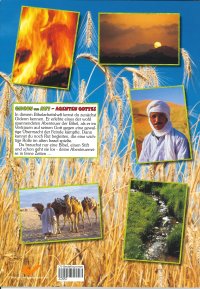 Gideon und Rut - Agenten Gottes (Bibelarbeitsheft)