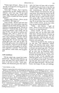 Das Neue Testament + Psalmen (Isländisch)