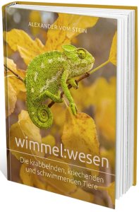 wimmel:wesen - Die krabbelnden, kriechenden und schwimmenden Tiere