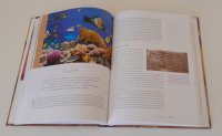 wimmel:wesen - Die krabbelnden, kriechenden und schwimmenden Tiere